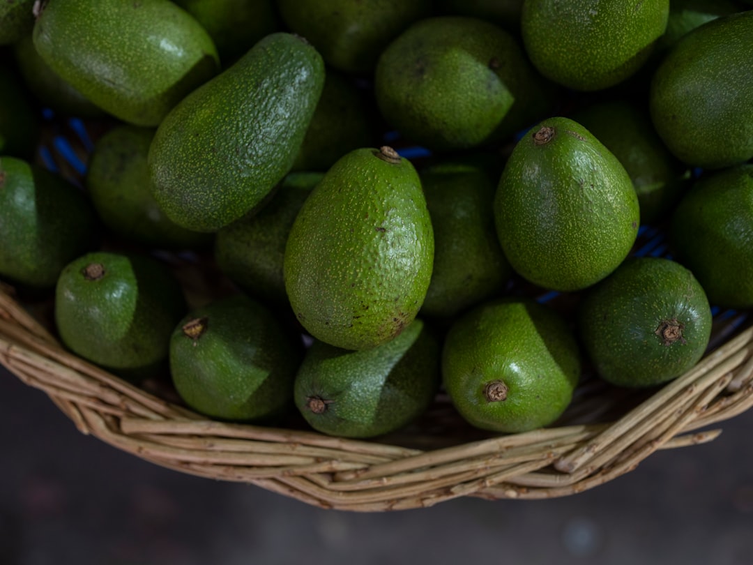 Photo avocado recipes