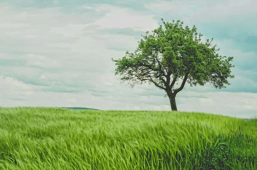Photo environment and climate knowledge