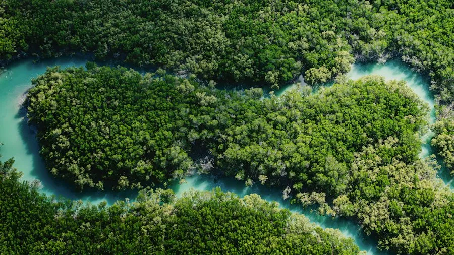 environment and climate knowledge